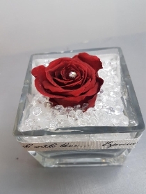 Infinity Red Rose in Glass