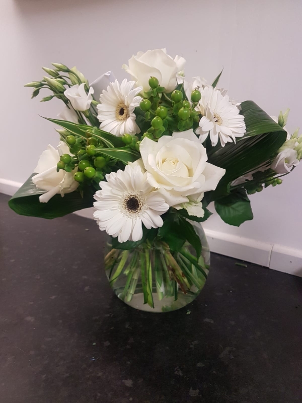 Vase germini