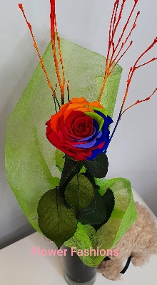 Infinity Rainbow Rose