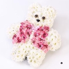 Teddy Bear Tribute   Pink *