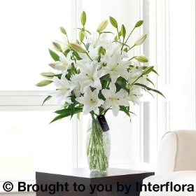Luxury White Oriental Lily Sympathy Vase