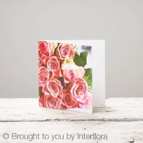 Pink Rose Greetings Card