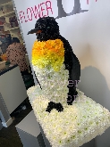 Special Designed Funeral