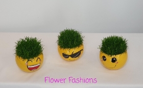 Emoji Planted Trio